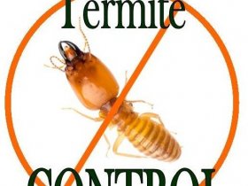 Peters Termite Control Adelaide
