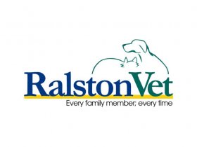 Pets at Ralston Vet
