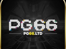 PG66