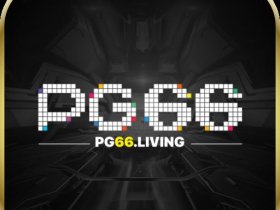 PG66