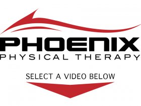 Phoenix Instructional Videos