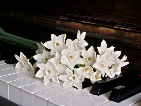 Piano Lessons Indianapolis