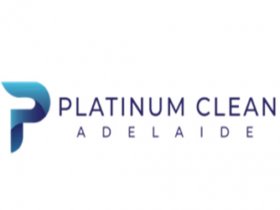 Platinum Clean
