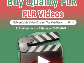 PLR Video Products 2020