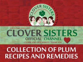 Plum recipes and home remedies
