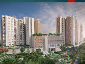 Prestige Evergreen Contact Us