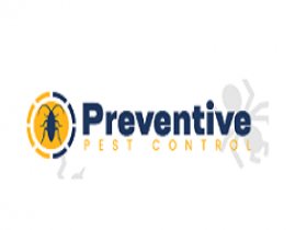 Preventive Flies Control Brisbane