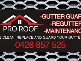 Pro Roof Gutter Guard