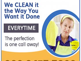 Professional Cleaners Ealing