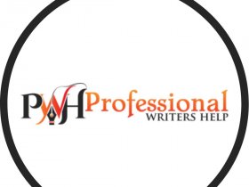 Professional Writers Help