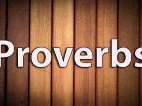 Proverbs Devo