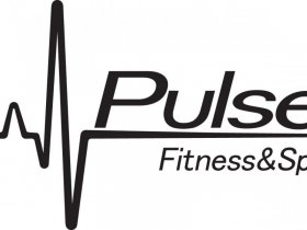 Pulse Fit