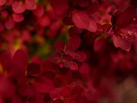 Rahul Digital Marketing Course