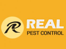 Real Ant Control Adelaide