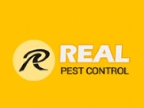 Real Rodent Control Adelaide