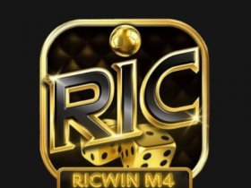 RICWIN M4