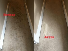 Same Day Carpet Cleaning Gold Coast