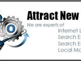 Search Engine Optimization Assessment