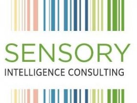 Sensory Intelligence Consulting