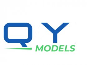 Shenzhen QY models Co.,Ltd.