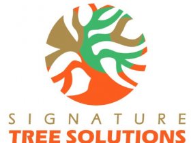 Signature Tree Solutions
