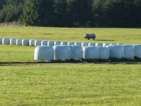 Silage Plastic
