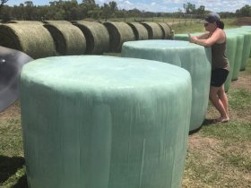 Silage Wrap