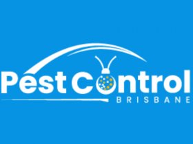 Silverfish Control Brisbane