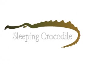 Sleeping Crocodile Inc.