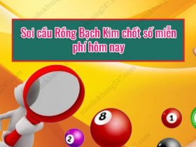 Soi cầu rồng bạch kim