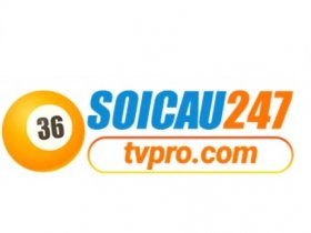 soicau247tvpro