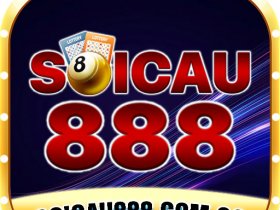 soicau888comco