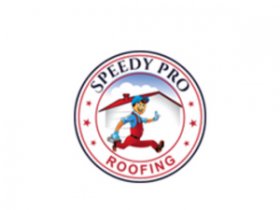 Speedy Pro Roofing