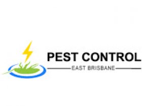 Spider Control East Brisbane