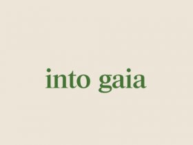 Stylish Women's Swimwear