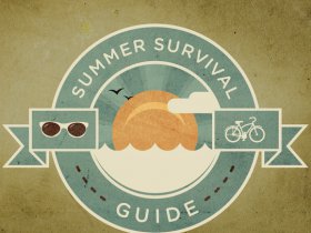 SUMMER SURVIVAL GUIDE