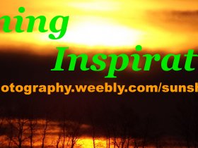 SunShining Inspiration Videos