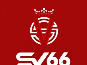 SV66 Network