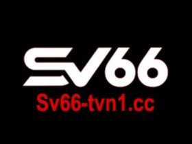 sv66tvn1