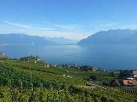 Switzerland Tours,Videos,Hotels,Vacation