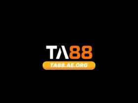 TA88 AEORG