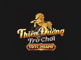 TDTC