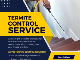 Termite Control in Bangalore