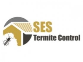 Termite Control Melbourne