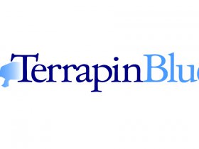 Terrapin Blue Demo