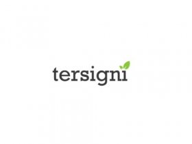 Tersigni Landscape Construction Inc.