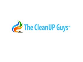 The CleanUP Guys