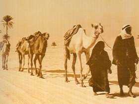 The History Of Transportation In UAE