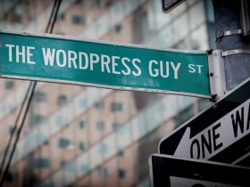 The WordPress Guy Tutorials