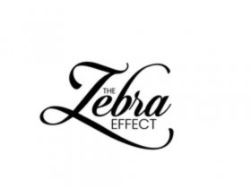 The Zebra Effect